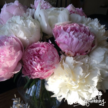 Pfingstrosenstrauß 'Das Blumenduett'