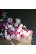 Pfingstrosen Schnittblumen 'Nostalgie'