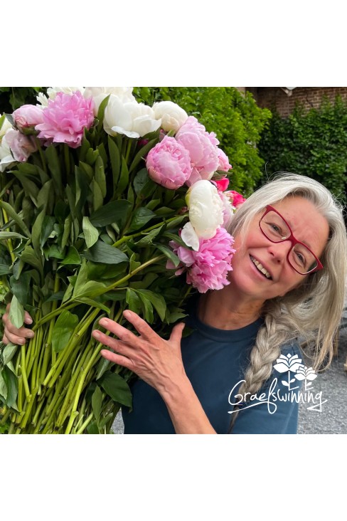 Peony cut flowers 'Farmers Choice'
